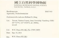 登錄號:F0037993藏品圖，第2張