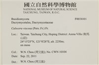 登錄號:F0038001藏品圖，第2張