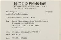 登錄號:F0038003藏品圖，第2張