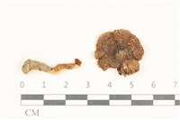 登錄號:F0038005藏品圖，第1張