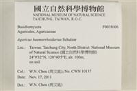 登錄號:F0038006藏品圖，第2張