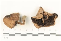登錄號:F0038006藏品圖，第1張