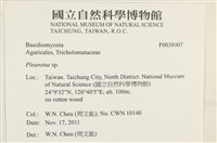 登錄號:F0038007藏品圖，第2張