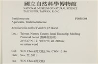 登錄號:F0038008藏品圖，第2張