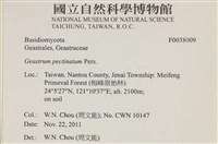 登錄號:F0038009藏品圖，第2張