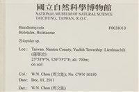 登錄號:F0038010藏品圖，第2張