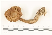 登錄號:F0038010藏品圖，第1張