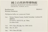 登錄號:F0038012藏品圖，第2張
