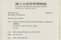 登錄號:F0038014藏品圖，第2張