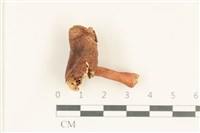 登錄號:F0038014藏品圖，第1張