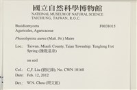 登錄號:F0038015藏品圖，第2張