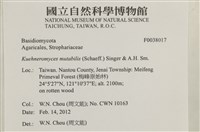 登錄號:F0038017藏品圖，第2張