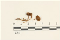 登錄號:F0038018藏品圖，第1張