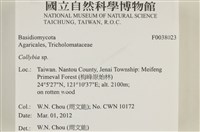 登錄號:F0038023藏品圖，第2張