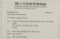 登錄號:F0038028藏品圖，第2張