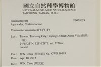 登錄號:F0038029藏品圖，第2張