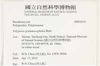 登錄號:F0038032藏品圖，第2張