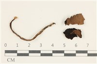 登錄號:F0038034藏品圖，第1張