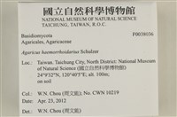 登錄號:F0038036藏品圖，第2張