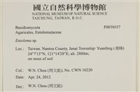 粉褶菌屬藏品圖，第2張