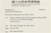 登錄號:F0038038藏品圖，第2張