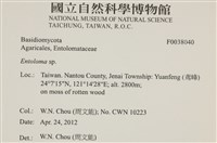 粉褶菌屬藏品圖，第2張