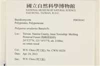 登錄號:F0038041藏品圖，第2張