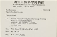 登錄號:F0038042藏品圖，第2張