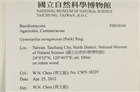 登錄號:F0038044藏品圖，第2張