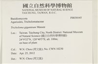 登錄號:F0038045藏品圖，第2張