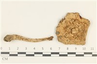 登錄號:F0038047藏品圖，第1張