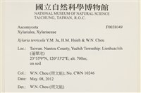 登錄號:F0038049藏品圖，第2張