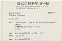 登錄號:F0038050藏品圖，第2張