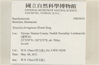 登錄號:F0038051藏品圖，第2張