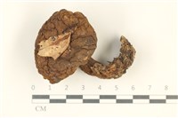 登錄號:F0038051藏品圖，第1張