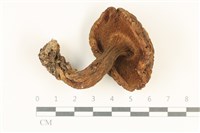 登錄號:F0038051藏品圖，第3張