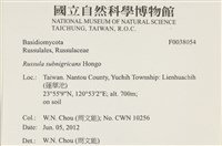 登錄號:F0038054藏品圖，第2張