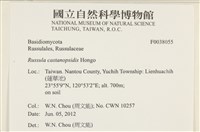 登錄號:F0038055藏品圖，第2張
