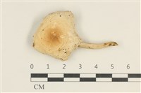 登錄號:F0038055藏品圖，第1張