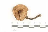 登錄號:F0038056藏品圖，第1張