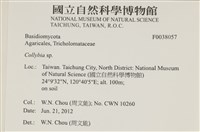 登錄號:F0038057藏品圖，第2張