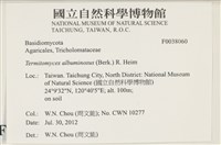 登錄號:F0038060藏品圖，第2張
