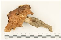 登錄號:F0038060藏品圖，第1張