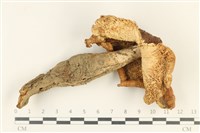 登錄號:F0038060藏品圖，第3張