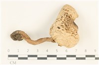 登錄號:F0038062藏品圖，第1張
