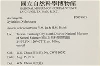 登錄號:F0038063藏品圖，第2張