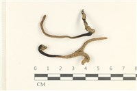登錄號:F0038063藏品圖，第1張