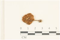 登錄號:F0038068藏品圖，第3張