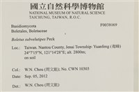 登錄號:F0038069藏品圖，第2張