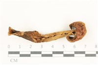 登錄號:F0038069藏品圖，第1張
